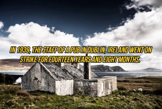 Surprising Facts About Pubs (17 pics) Surprising Facts About Pubs (17 pics)