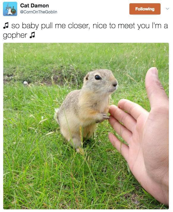 Hilarious Jokes (29 pics) Hilarious Jokes (29 pics)
