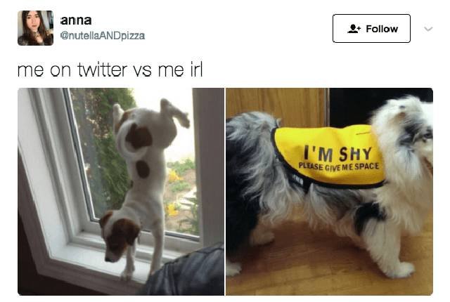 Hilarious Jokes (29 pics) Hilarious Jokes (29 pics)