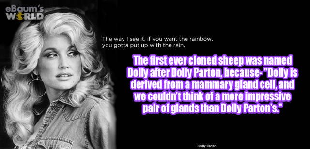Random Facts (38 pics)