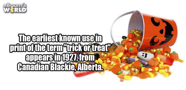 Random Facts (38 pics)