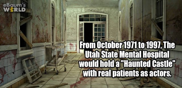 Random Facts (38 pics)