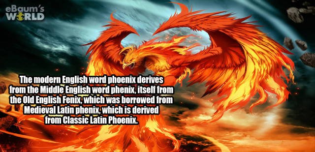 Random Facts (38 pics)