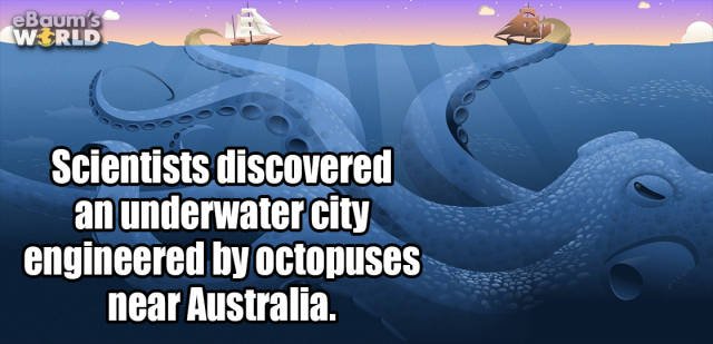 Random Facts (38 pics)