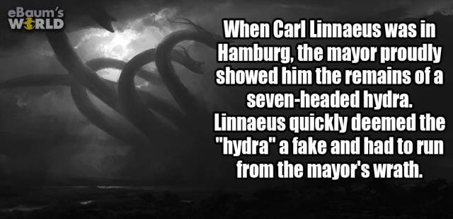 Random Facts (38 pics)