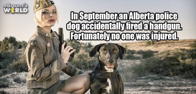 Random Facts (38 pics)