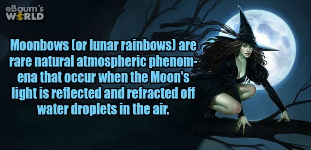 Random Facts (38 pics)