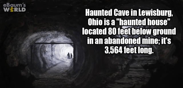 Random Facts (38 pics)