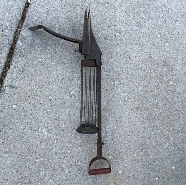 What Are These Things? (19 pics)