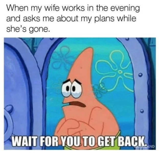Memes About Family Life (28 pics)