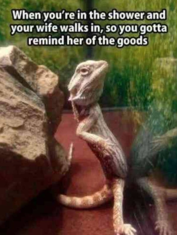 Memes About Family Life (28 pics)