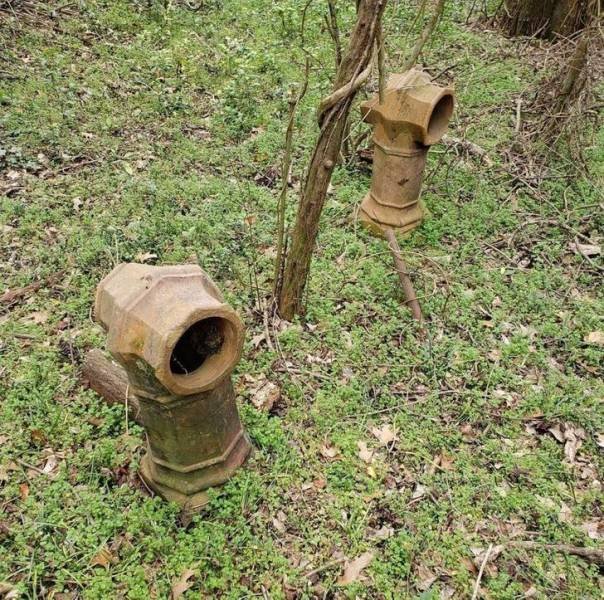 What Are These Things? (19 pics)