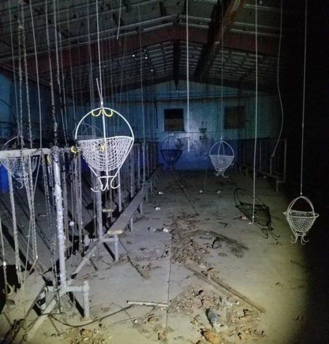 What Are These Things? (19 pics)