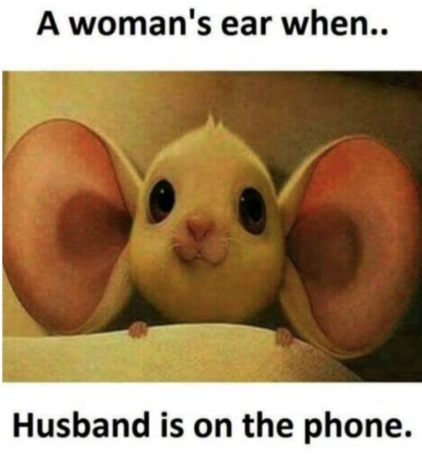 Memes About Family Life (28 pics)