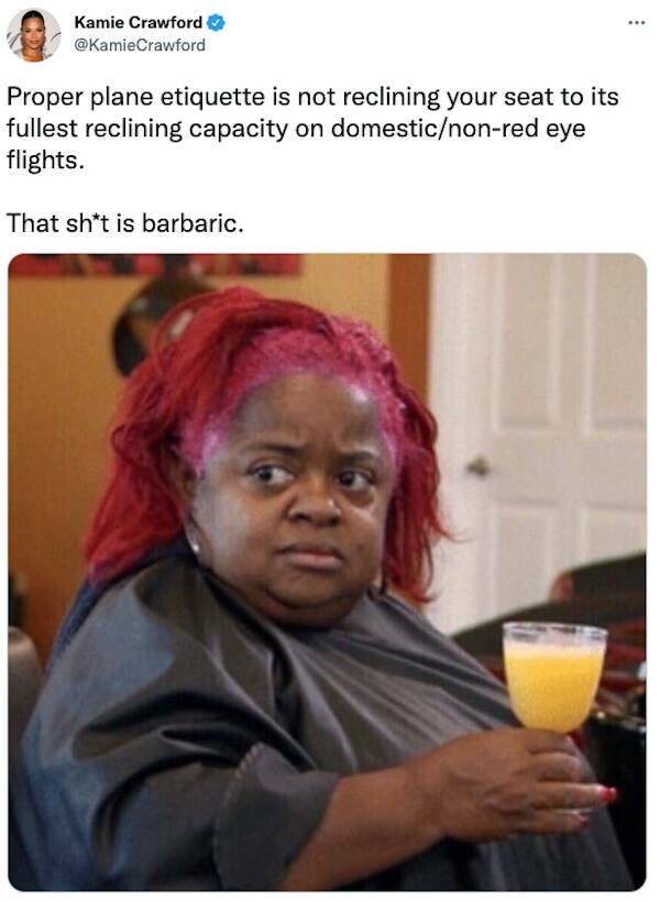 Annoying Situations On Airplanes (22 pics)