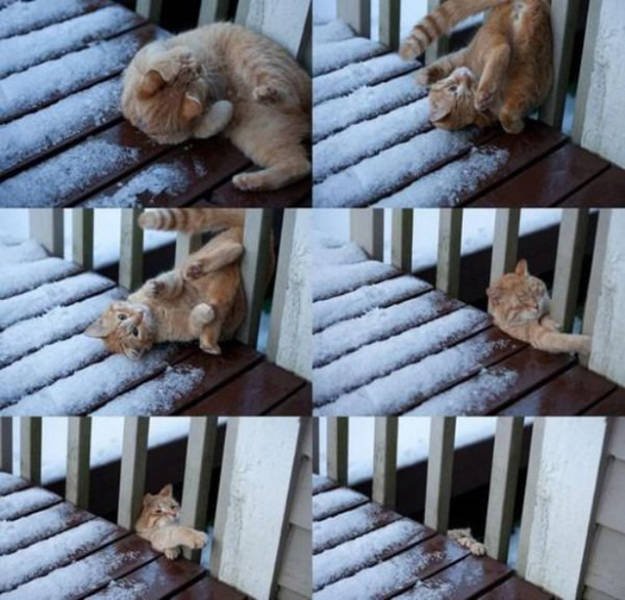 What Is Going On Here? (37 pics) What Is Going On Here? (37 pics)