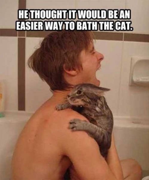 What Is Going On Here? (37 pics) What Is Going On Here? (37 pics)