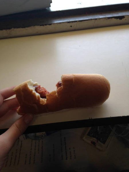What Is Going On Here? (37 pics) What Is Going On Here? (37 pics)