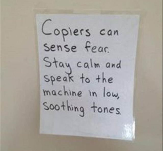 Funny Workplace Photos (38 pics)