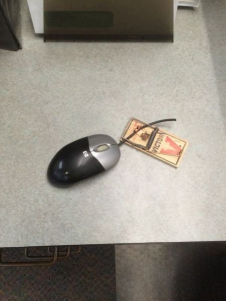 Funny Workplace Photos (38 pics)