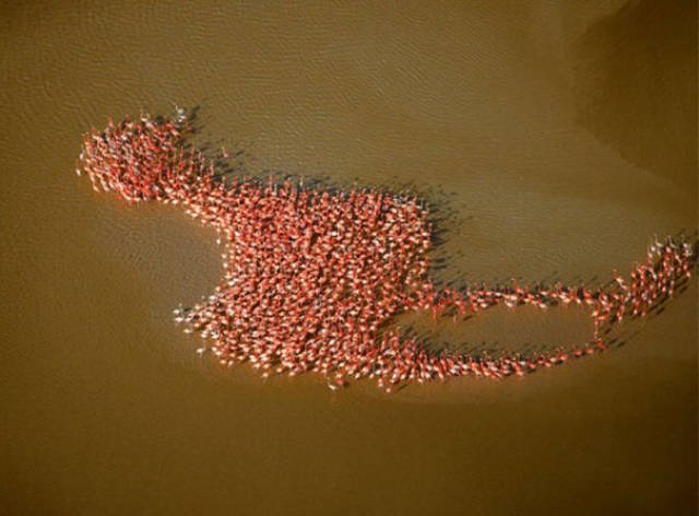 Unexpected Coincidences (51 pics)