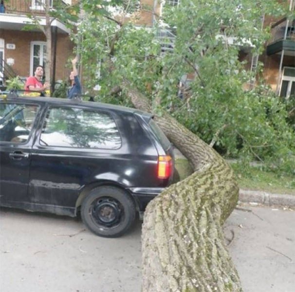 Unexpected Coincidences (51 pics)