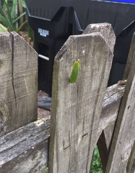 Unexpected Coincidences (51 pics)