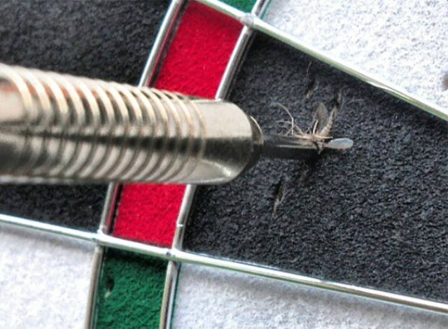 Unexpected Coincidences (51 pics)