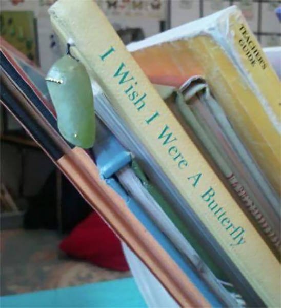 Unexpected Coincidences (51 pics)