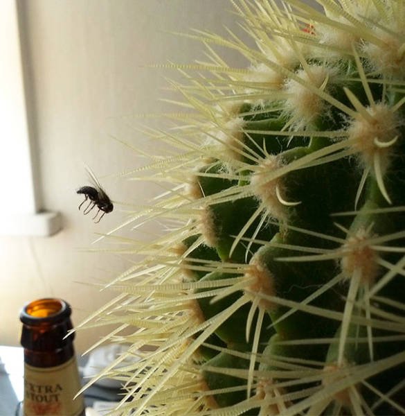 Unexpected Coincidences (51 pics)