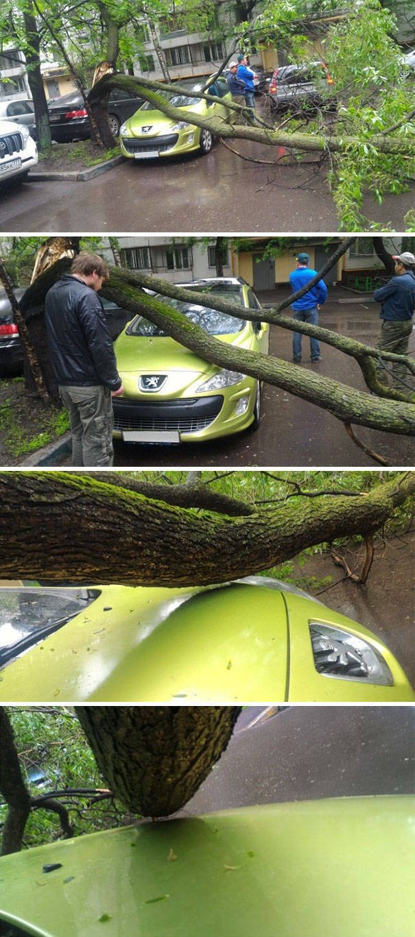 Unexpected Coincidences (51 pics)