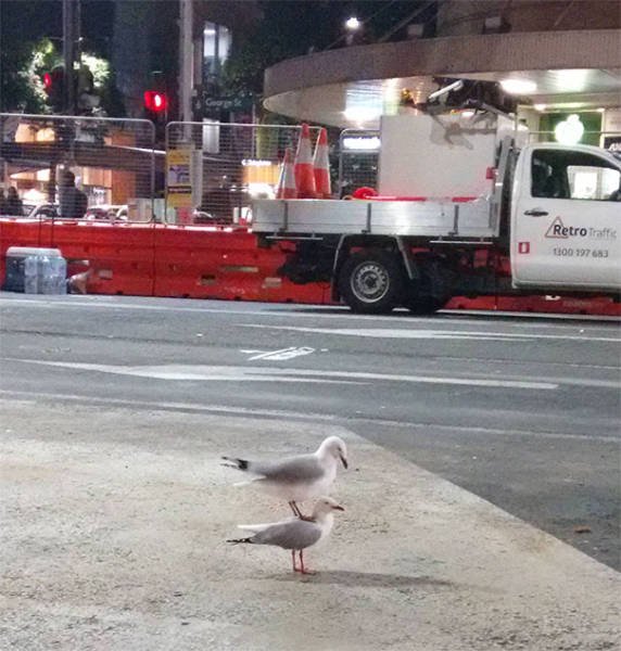 Unexpected Coincidences (51 pics)