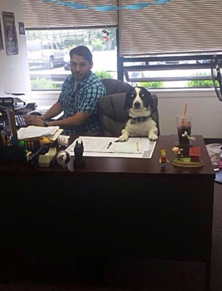 Funny Workplace Photos (38 pics)