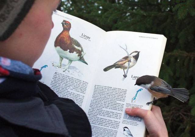 Unexpected Coincidences (51 pics)