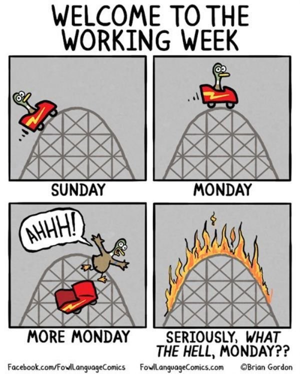 Funny Workplace Photos (38 pics)