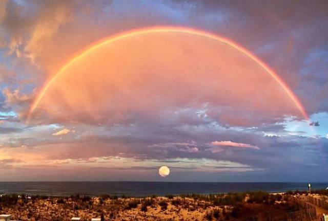 Unexpected Coincidences (51 pics)