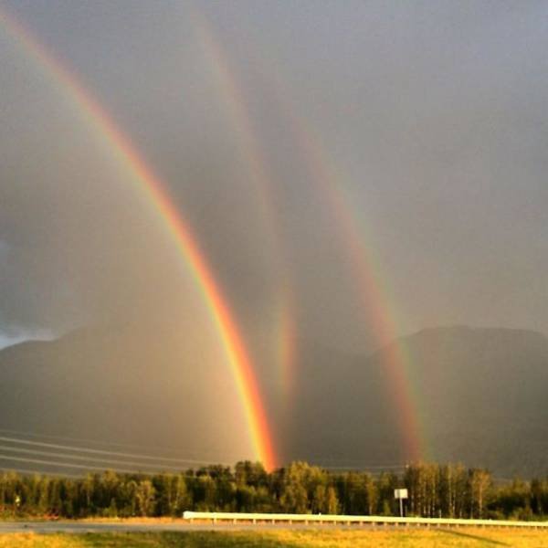 Unexpected Coincidences (51 pics)