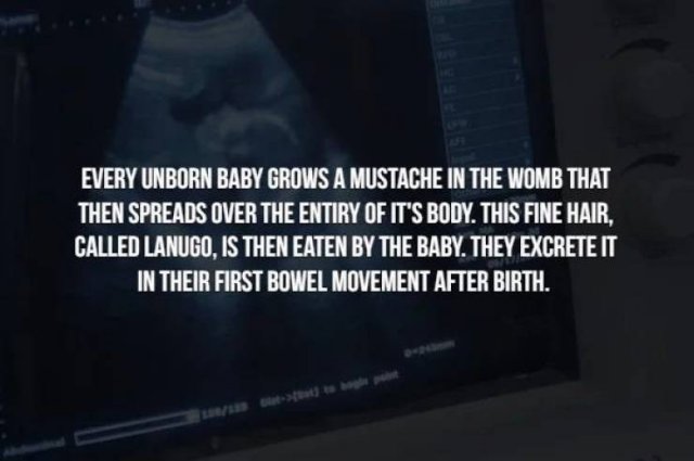 Creepy Facts (14 pics)