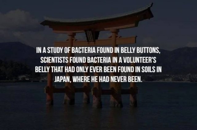 Creepy Facts (14 pics)