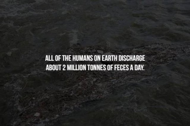 Creepy Facts (14 pics)