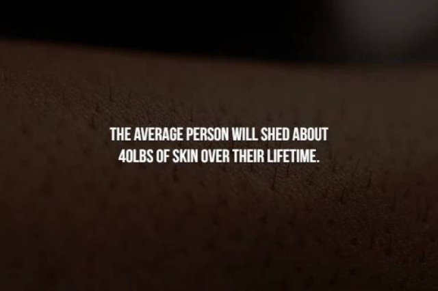 Creepy Facts (14 pics)
