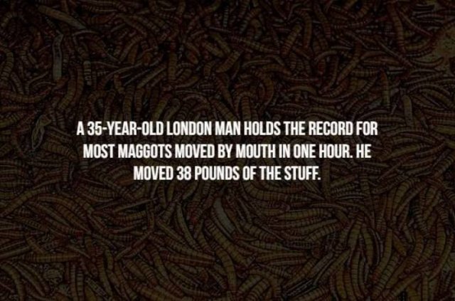 Creepy Facts (14 pics)