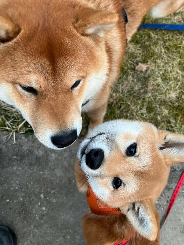 Kind Photos And Stories (34 pics)