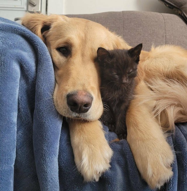 Kind Photos And Stories (34 pics)