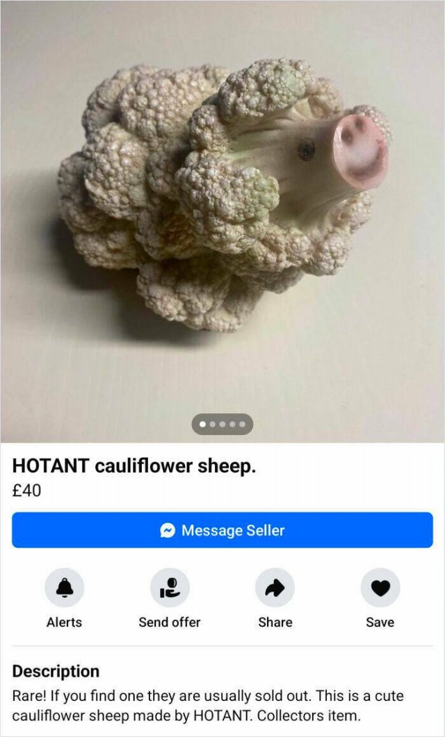 Weird Products On The Internet (28 pics)