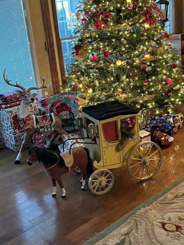 Bad Presents (24 pics)
