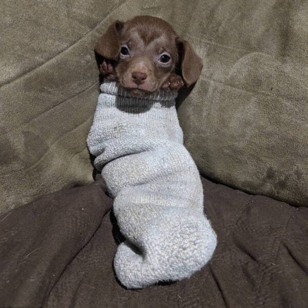 Kind Photos And Stories (34 pics)