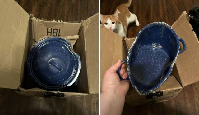 Bad Presents (24 pics)