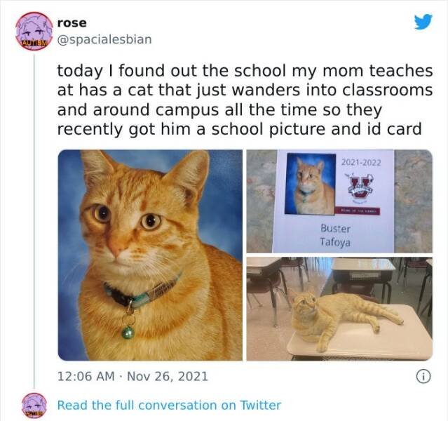 Kind Posts For A Good Mood (45 pics)