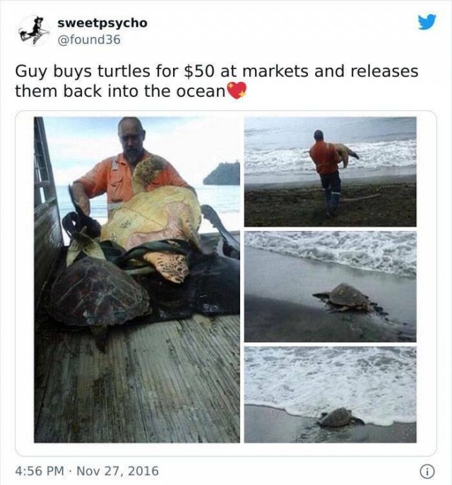 Kind Posts For A Good Mood (45 pics)